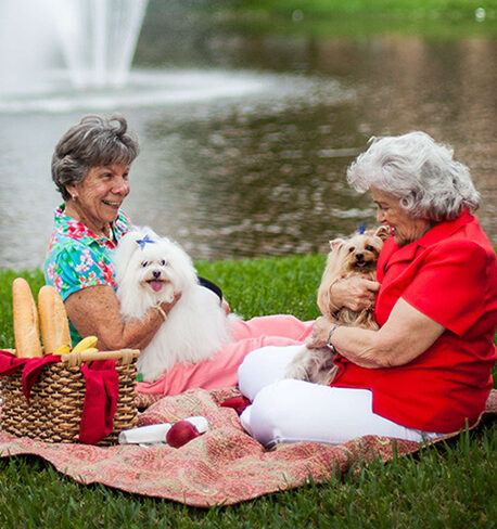Summer Food Safety Tips in Honor of National Picnic Month
