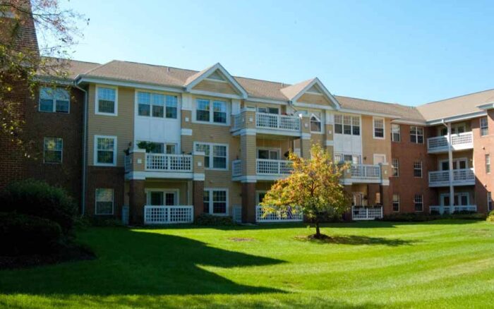 Independent Living Rear greenspace