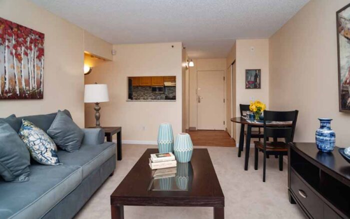 Model Apartment Living Room​