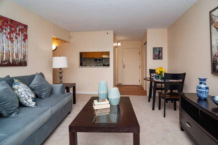 Model Apartment Living Room​