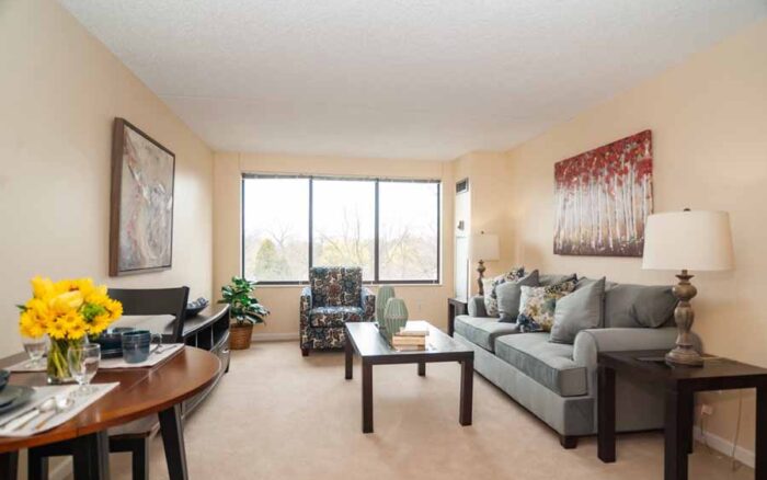 Model Apartment Living Room​