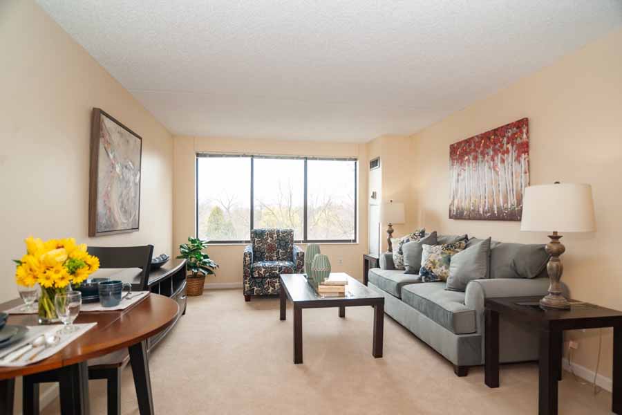 Model Apartment Living Room​