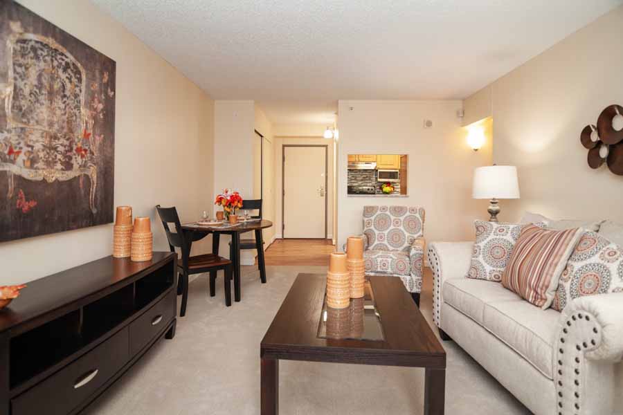 Model Apartment Living Room​