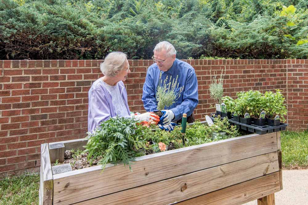 Mental Health Benefits of Nature for Older Adults
