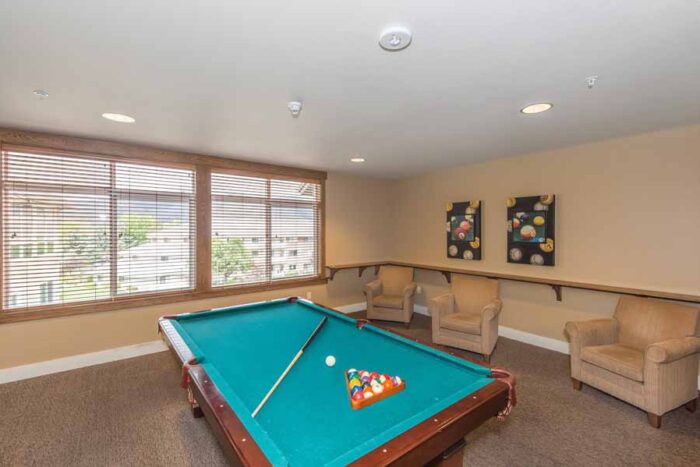 Recreation Room with pool table