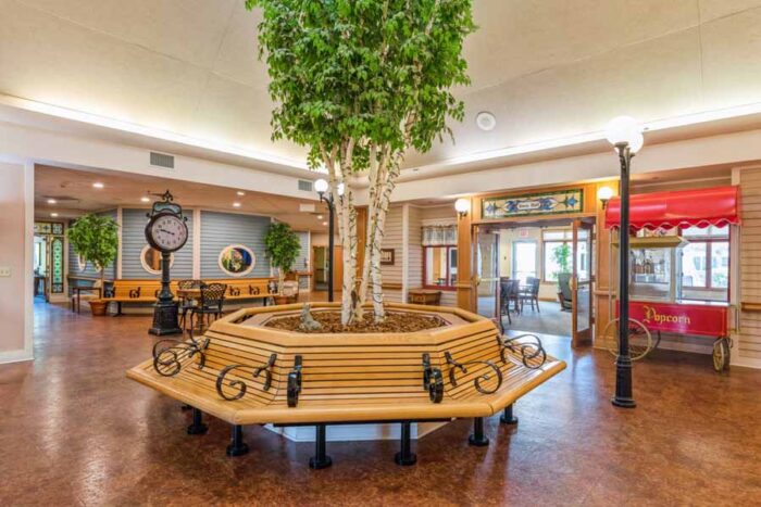 The Wellstead of Rogers & Diamondcrest Senior Living