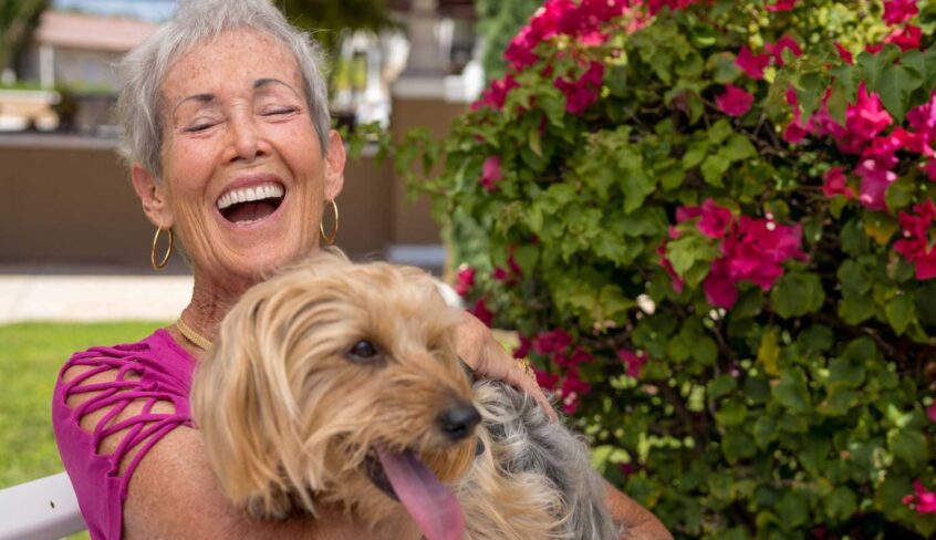 The Top 5 Best Dogs for Seniors
