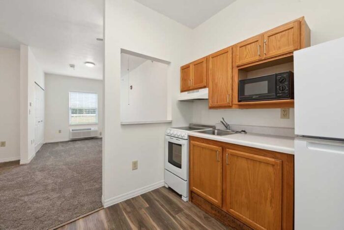 Model Studio Apartment Kitchen