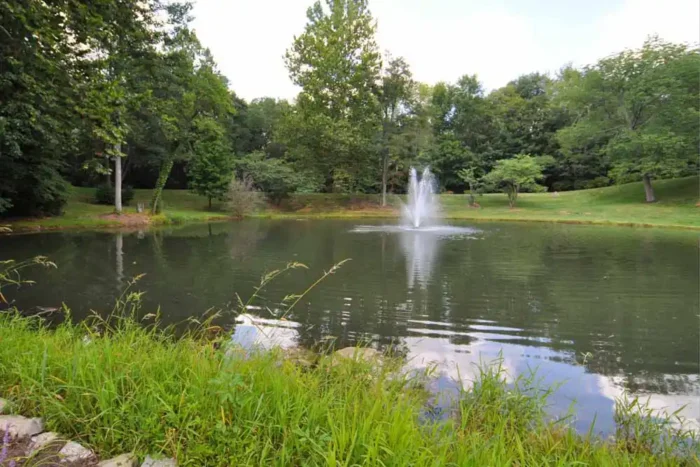 Pond with fountain