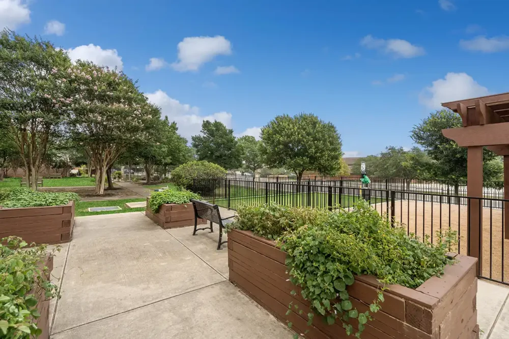 The Haven and the Laurels in Stone Oak outdoor space