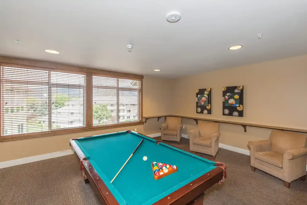 Recreation Room with pool table