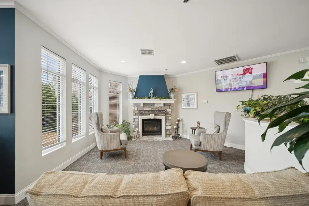 Living Room and Fireplace