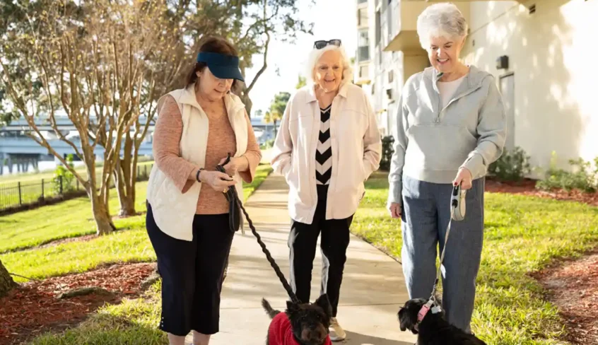 What is Senior Independent Living?