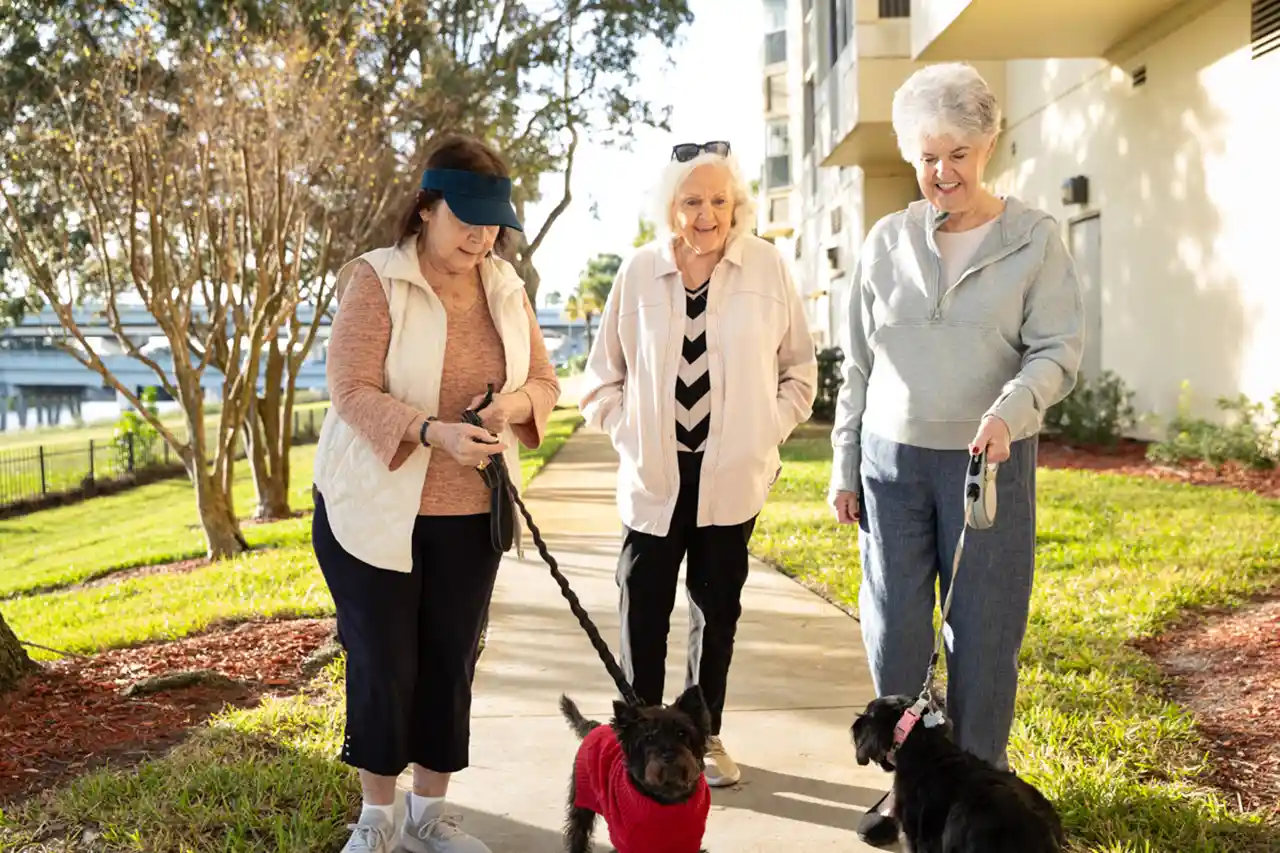 What is Senior Independent Living?