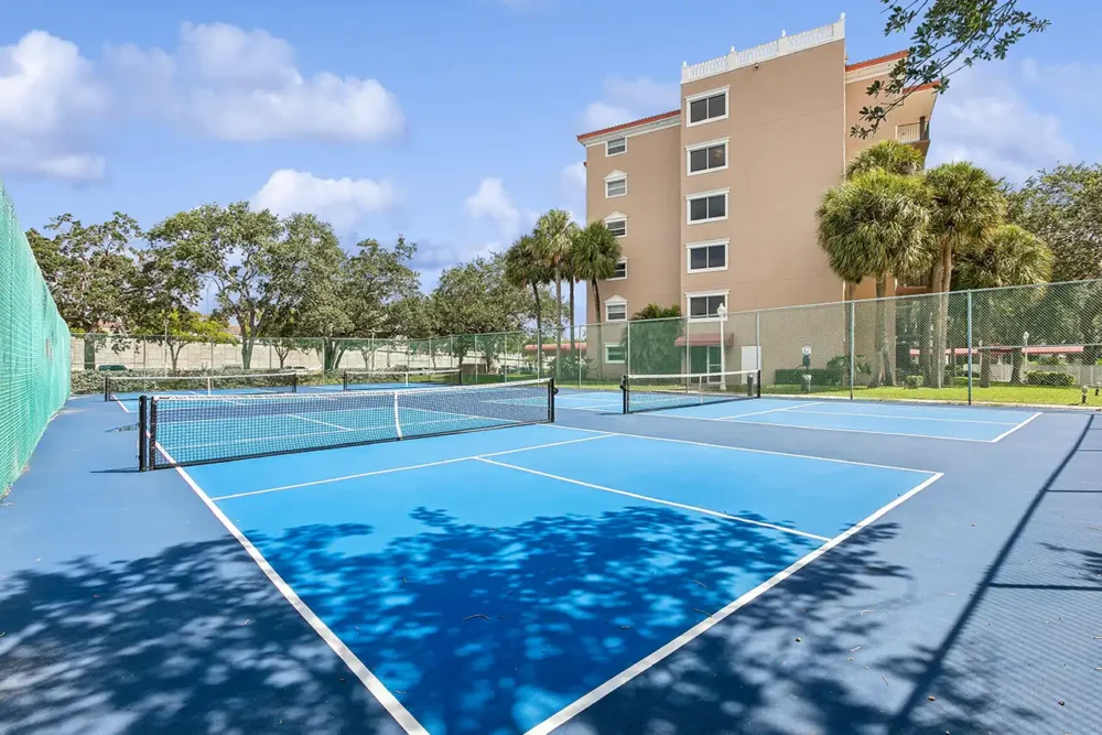 Pickleball Court