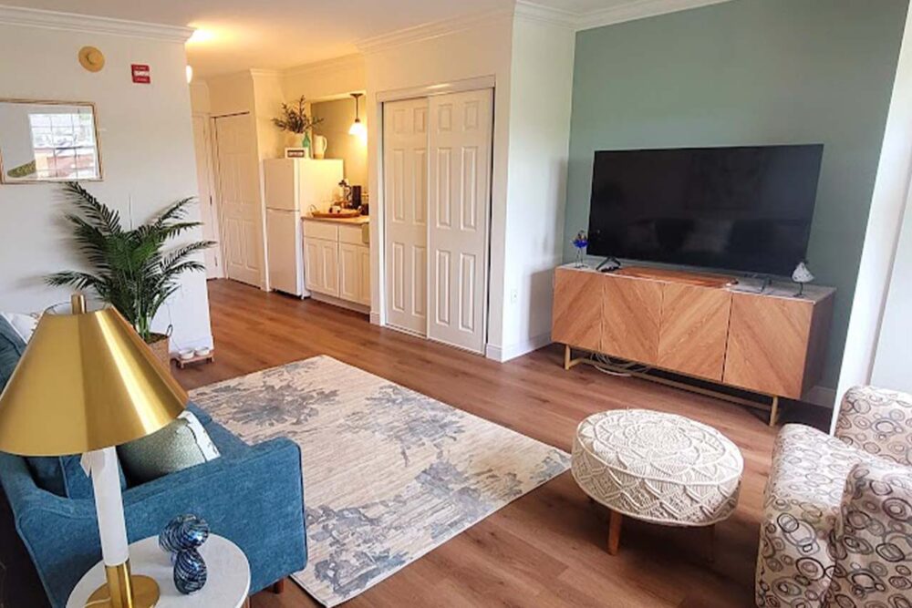 Model Apartment Living Room