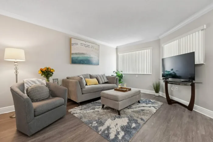 Shuffleboard Court Shuffleboard Court