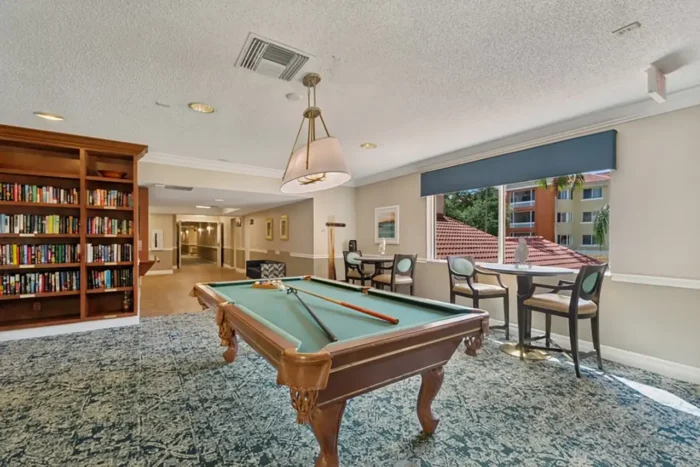 Shuffleboard Court​