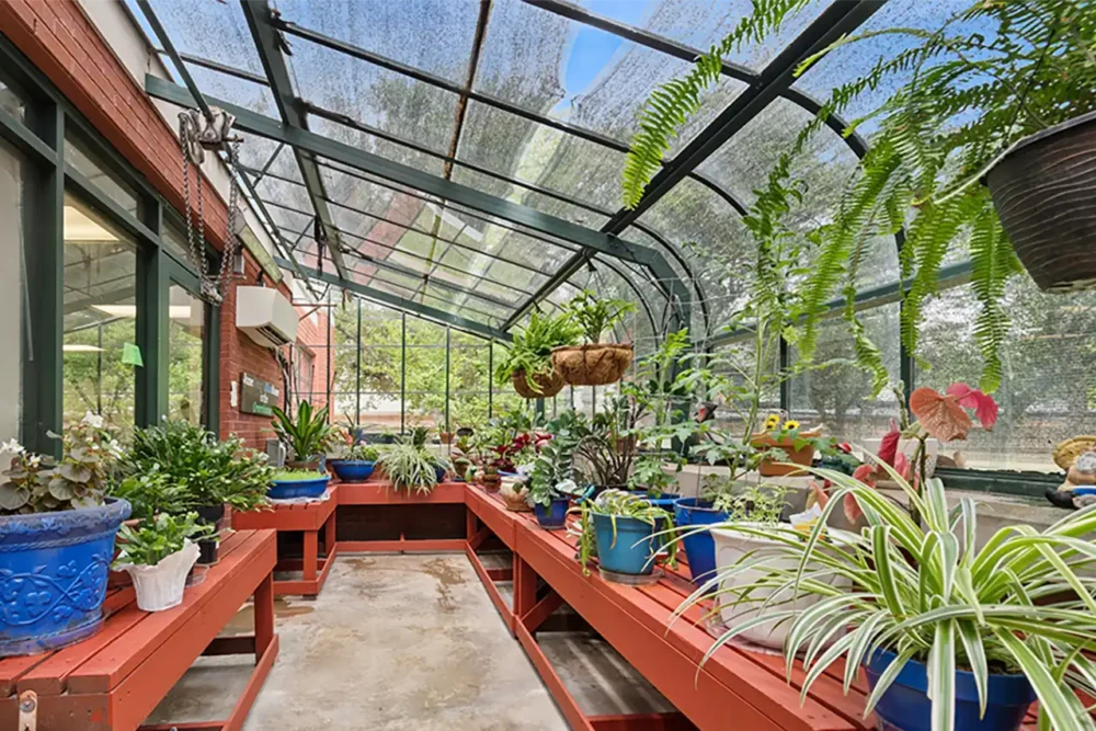 Greenhouse